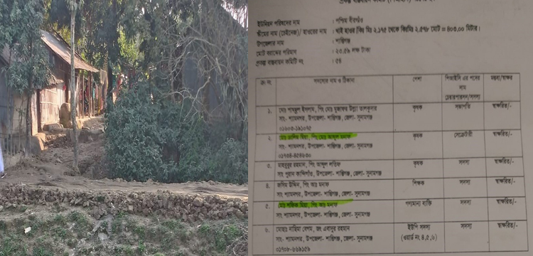 প্রধান উপদেষ্টা পদত্যাগ করবেন না: ফাইজ তাইয়েব আহমেদ