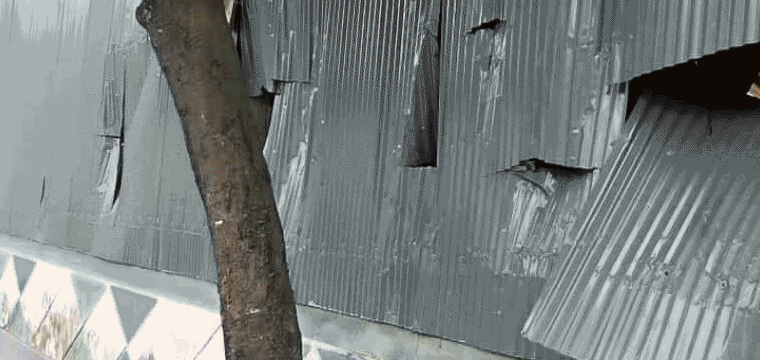 প্রধান উপদেষ্টা পদত্যাগ করবেন না: ফাইজ তাইয়েব আহমেদ