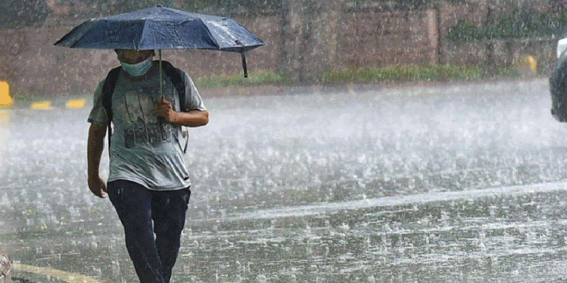 প্রধান উপদেষ্টা পদত্যাগ করবেন না: ফাইজ তাইয়েব আহমেদ