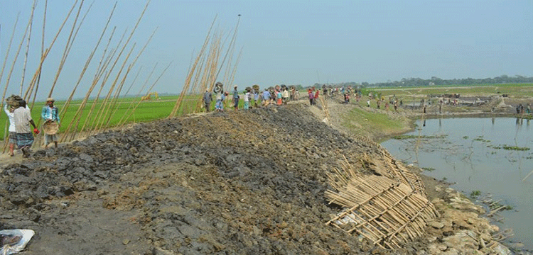 প্রধান উপদেষ্টা পদত্যাগ করবেন না: ফাইজ তাইয়েব আহমেদ