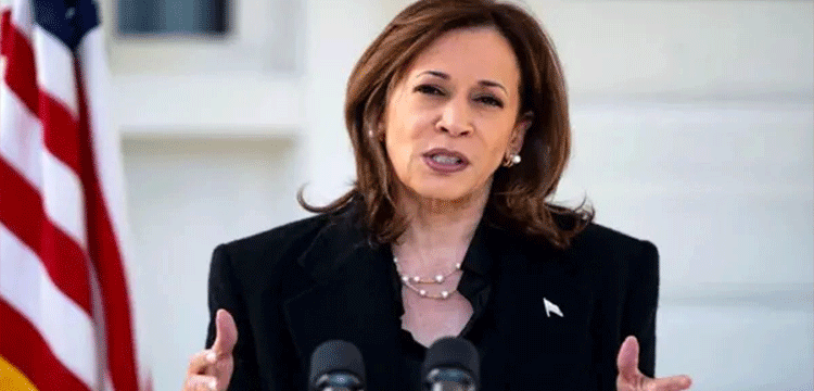 প্রধান উপদেষ্টা পদত্যাগ করবেন না: ফাইজ তাইয়েব আহমেদ