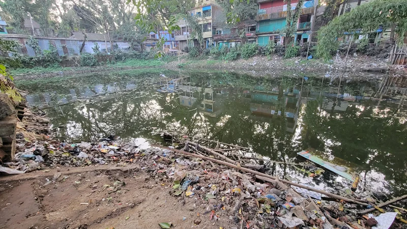 প্রধান উপদেষ্টা পদত্যাগ করবেন না: ফাইজ তাইয়েব আহমেদ