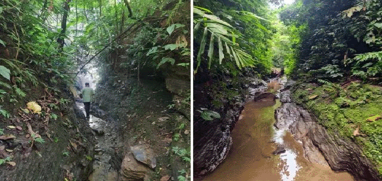 প্রধান উপদেষ্টা পদত্যাগ করবেন না: ফাইজ তাইয়েব আহমেদ