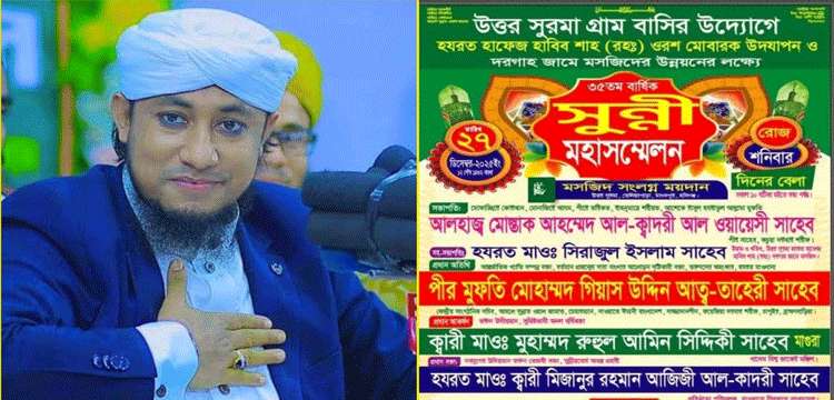 প্রধান উপদেষ্টা পদত্যাগ করবেন না: ফাইজ তাইয়েব আহমেদ