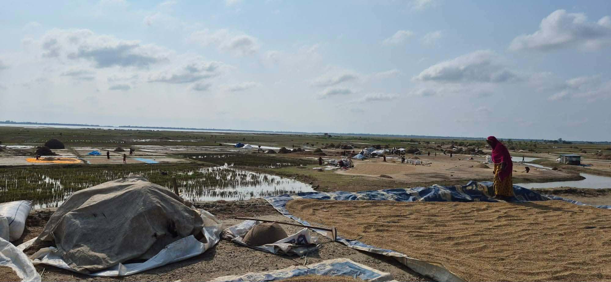প্রধান উপদেষ্টা পদত্যাগ করবেন না: ফাইজ তাইয়েব আহমেদ