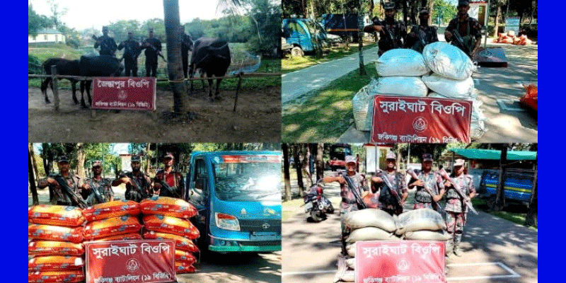 প্রধান উপদেষ্টা পদত্যাগ করবেন না: ফাইজ তাইয়েব আহমেদ
