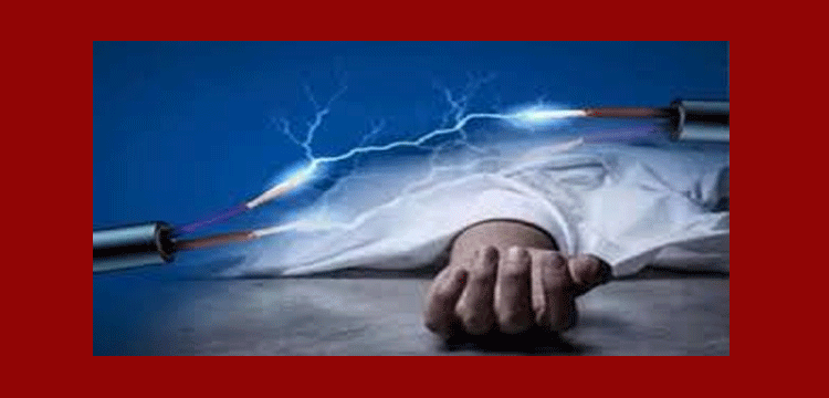 প্রধান উপদেষ্টা পদত্যাগ করবেন না: ফাইজ তাইয়েব আহমেদ