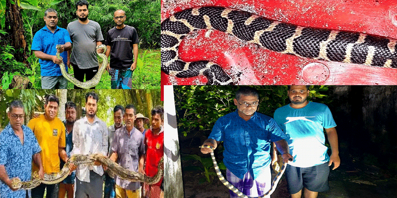 প্রধান উপদেষ্টা পদত্যাগ করবেন না: ফাইজ তাইয়েব আহমেদ