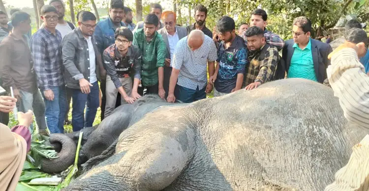 প্রধান উপদেষ্টা পদত্যাগ করবেন না: ফাইজ তাইয়েব আহমেদ