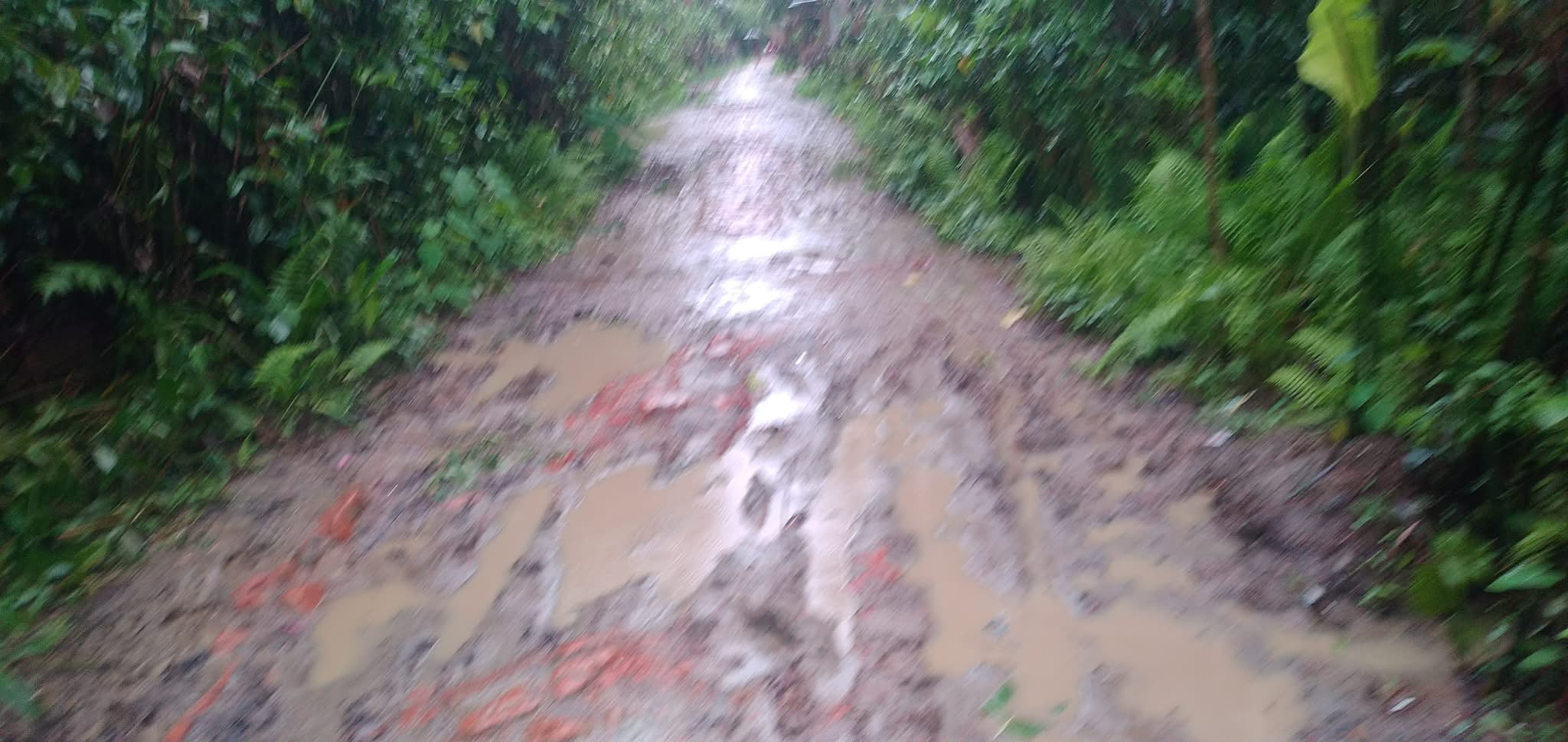 প্রধান উপদেষ্টা পদত্যাগ করবেন না: ফাইজ তাইয়েব আহমেদ