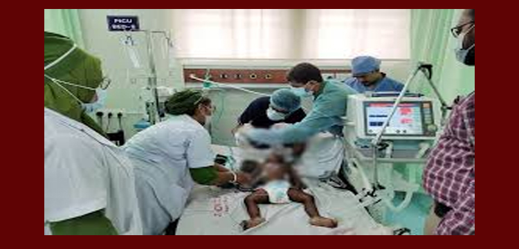 প্রধান উপদেষ্টা পদত্যাগ করবেন না: ফাইজ তাইয়েব আহমেদ