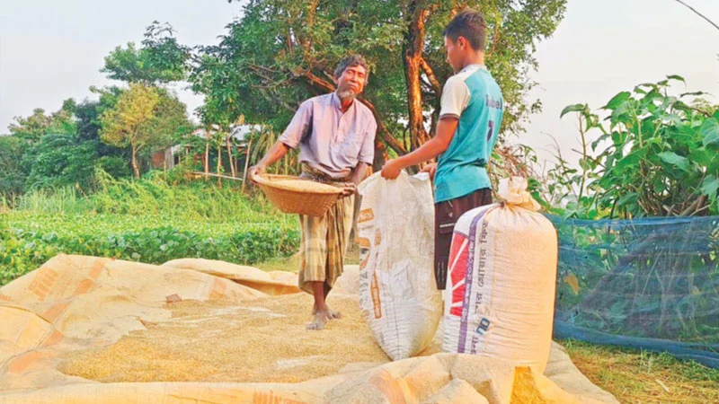 প্রধান উপদেষ্টা পদত্যাগ করবেন না: ফাইজ তাইয়েব আহমেদ