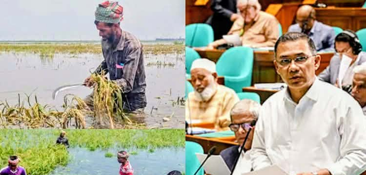 প্রধান উপদেষ্টা পদত্যাগ করবেন না: ফাইজ তাইয়েব আহমেদ