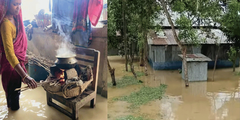 প্রধান উপদেষ্টা পদত্যাগ করবেন না: ফাইজ তাইয়েব আহমেদ
