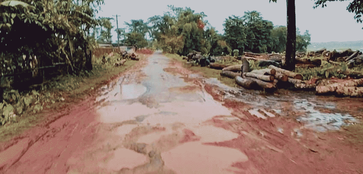 প্রধান উপদেষ্টা পদত্যাগ করবেন না: ফাইজ তাইয়েব আহমেদ