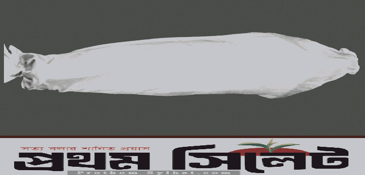 প্রধান উপদেষ্টা পদত্যাগ করবেন না: ফাইজ তাইয়েব আহমেদ