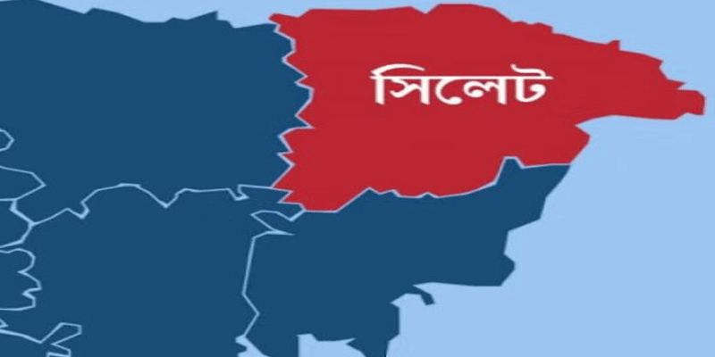 প্রধান উপদেষ্টা পদত্যাগ করবেন না: ফাইজ তাইয়েব আহমেদ