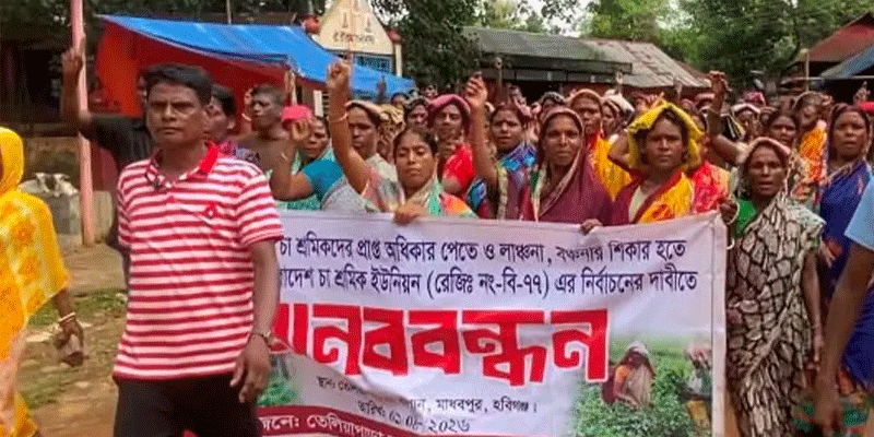 প্রধান উপদেষ্টা পদত্যাগ করবেন না: ফাইজ তাইয়েব আহমেদ