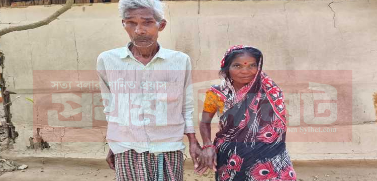 প্রধান উপদেষ্টা পদত্যাগ করবেন না: ফাইজ তাইয়েব আহমেদ