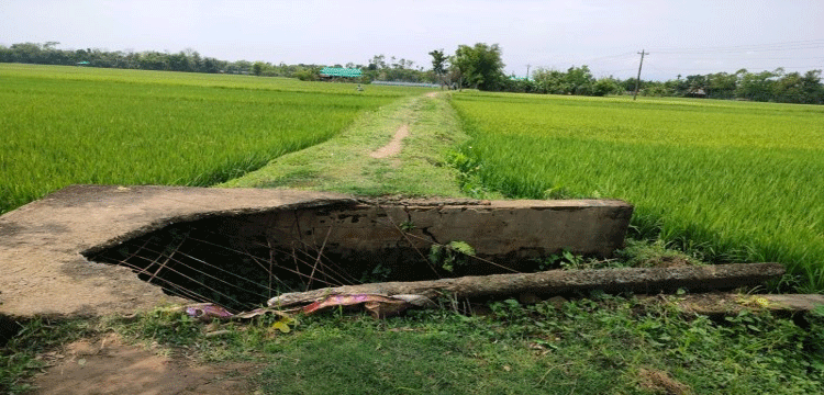 প্রধান উপদেষ্টা পদত্যাগ করবেন না: ফাইজ তাইয়েব আহমেদ