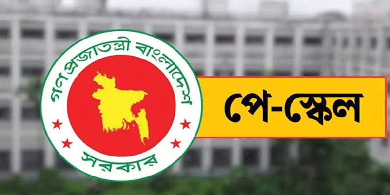 প্রধান উপদেষ্টা পদত্যাগ করবেন না: ফাইজ তাইয়েব আহমেদ