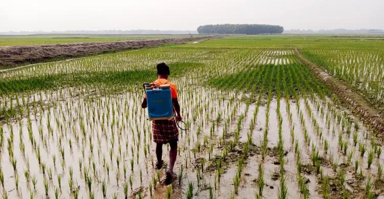 প্রধান উপদেষ্টা পদত্যাগ করবেন না: ফাইজ তাইয়েব আহমেদ