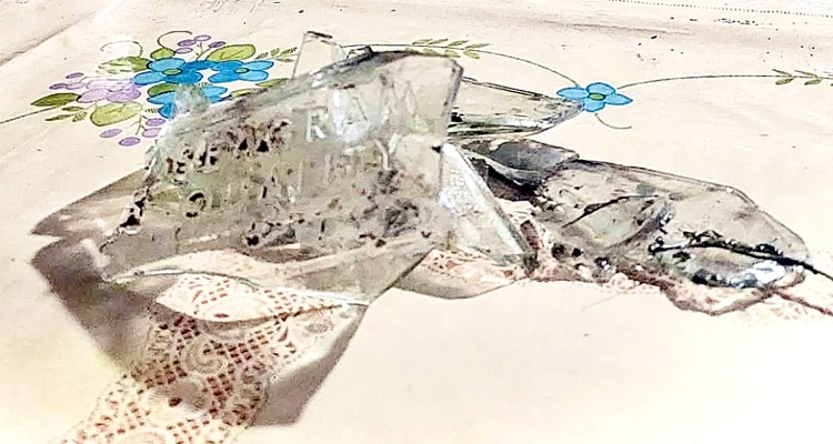 প্রধান উপদেষ্টা পদত্যাগ করবেন না: ফাইজ তাইয়েব আহমেদ
