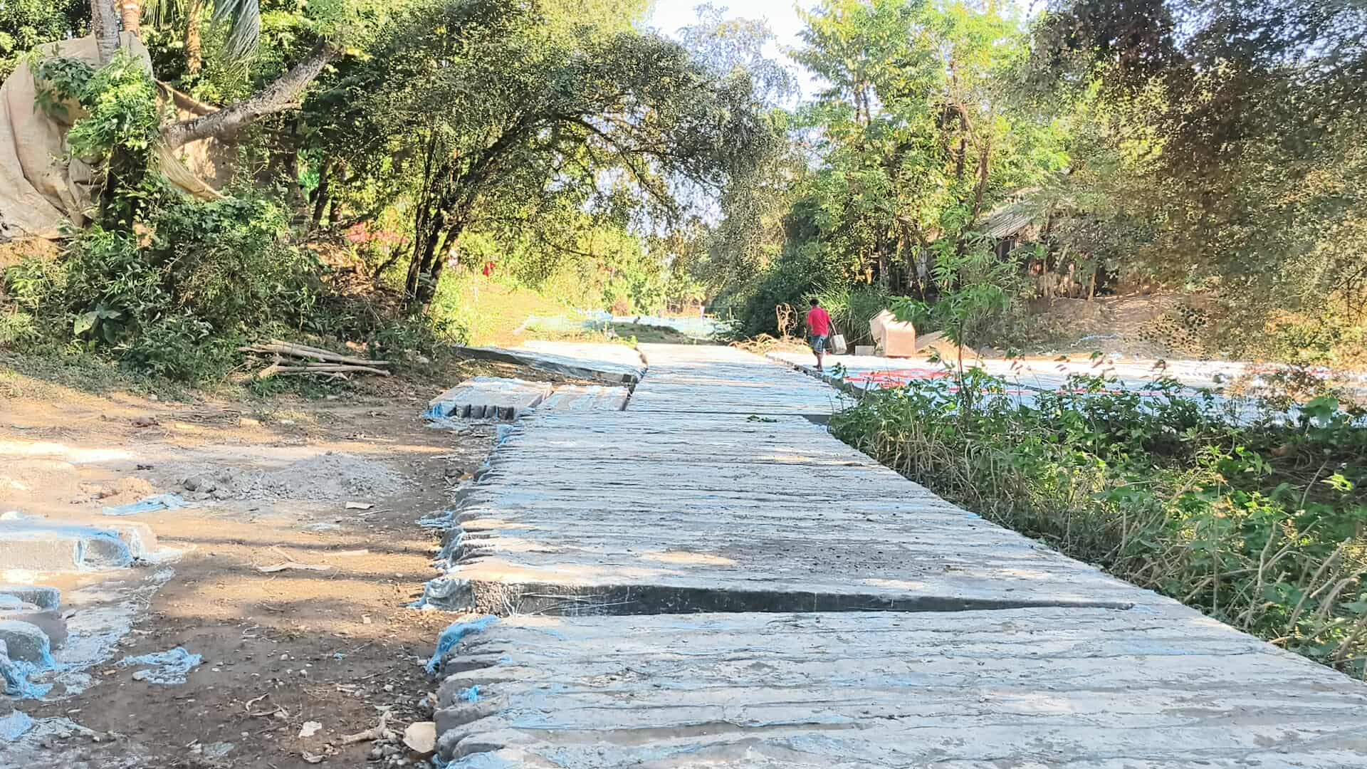 প্রধান উপদেষ্টা পদত্যাগ করবেন না: ফাইজ তাইয়েব আহমেদ
