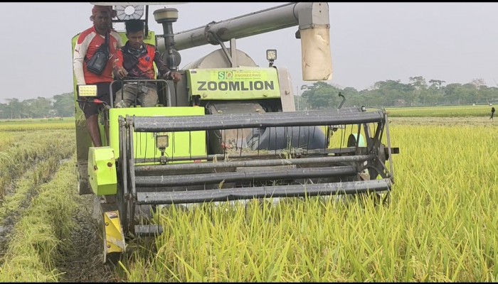 প্রধান উপদেষ্টা পদত্যাগ করবেন না: ফাইজ তাইয়েব আহমেদ