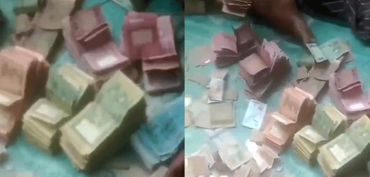 প্রধান উপদেষ্টা পদত্যাগ করবেন না: ফাইজ তাইয়েব আহমেদ