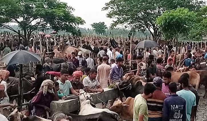 প্রধান উপদেষ্টা পদত্যাগ করবেন না: ফাইজ তাইয়েব আহমেদ
