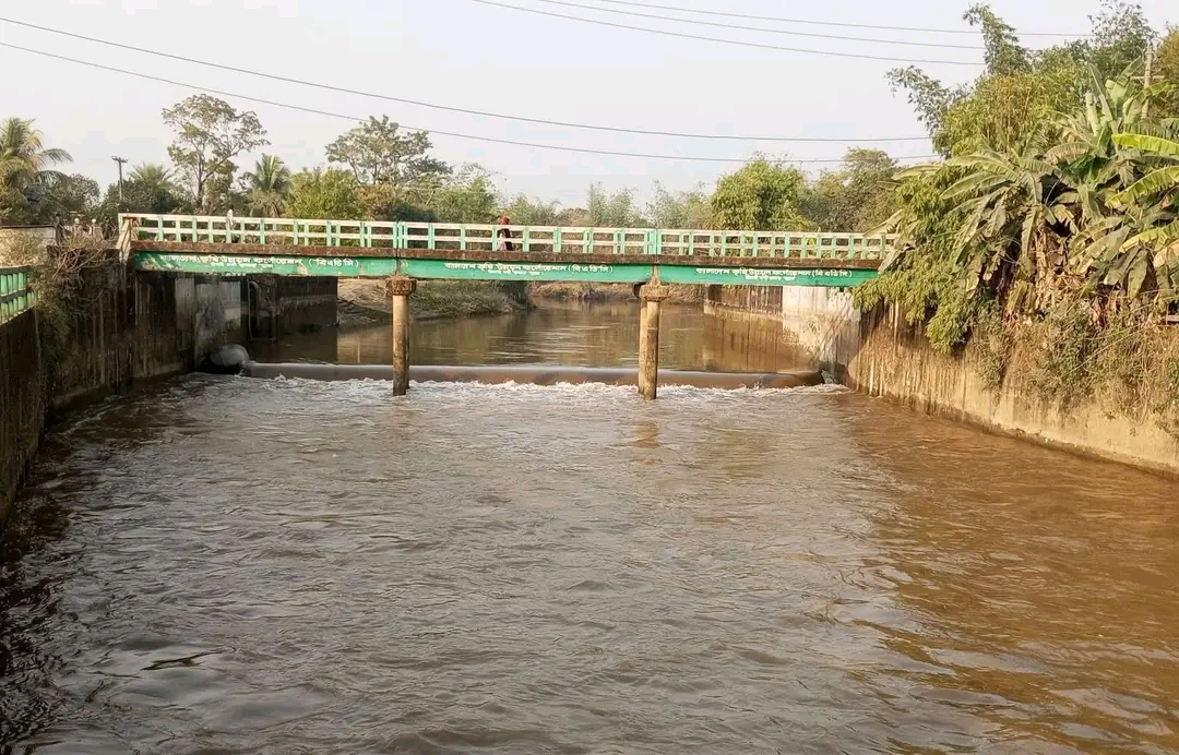 প্রধান উপদেষ্টা পদত্যাগ করবেন না: ফাইজ তাইয়েব আহমেদ
