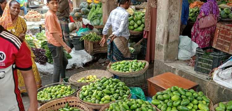 প্রধান উপদেষ্টা পদত্যাগ করবেন না: ফাইজ তাইয়েব আহমেদ