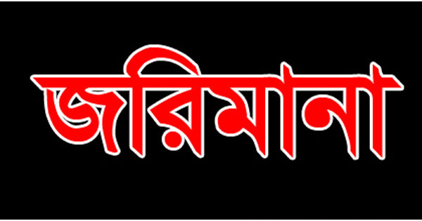 প্রধান উপদেষ্টা পদত্যাগ করবেন না: ফাইজ তাইয়েব আহমেদ