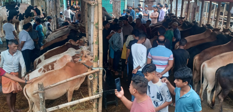 প্রধান উপদেষ্টা পদত্যাগ করবেন না: ফাইজ তাইয়েব আহমেদ
