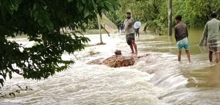 প্রধান উপদেষ্টা পদত্যাগ করবেন না: ফাইজ তাইয়েব আহমেদ