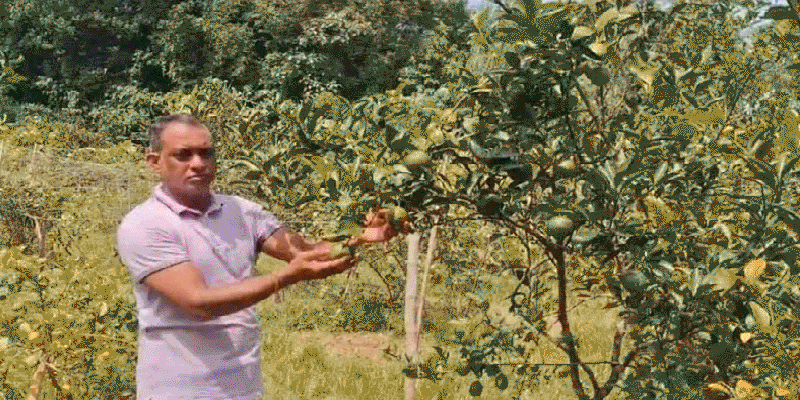 প্রধান উপদেষ্টা পদত্যাগ করবেন না: ফাইজ তাইয়েব আহমেদ