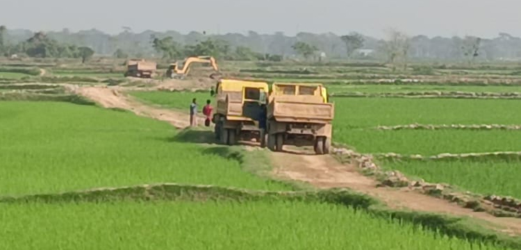 প্রধান উপদেষ্টা পদত্যাগ করবেন না: ফাইজ তাইয়েব আহমেদ