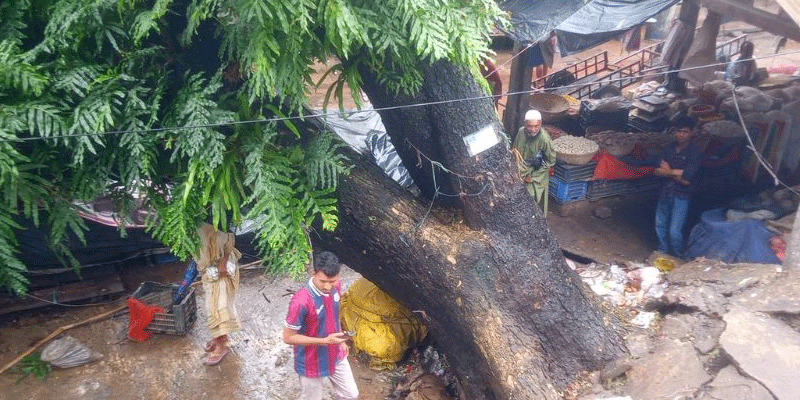 প্রধান উপদেষ্টা পদত্যাগ করবেন না: ফাইজ তাইয়েব আহমেদ