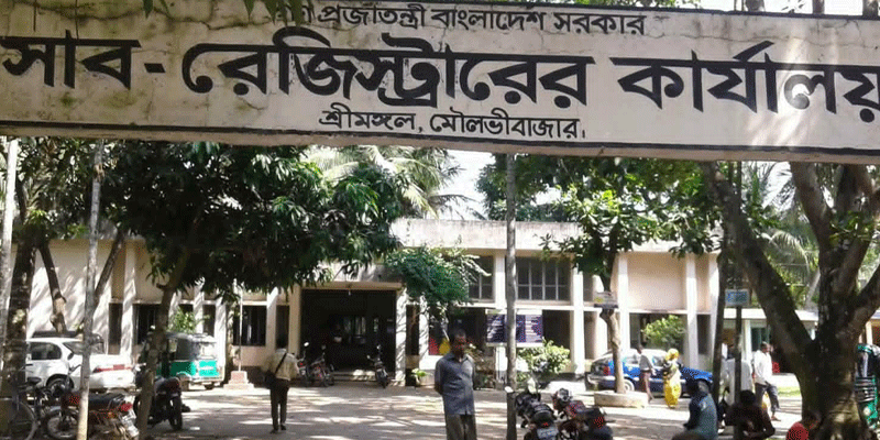 প্রধান উপদেষ্টা পদত্যাগ করবেন না: ফাইজ তাইয়েব আহমেদ