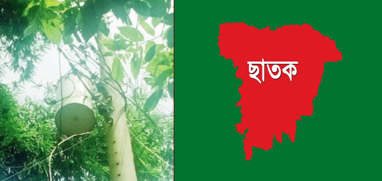 প্রধান উপদেষ্টা পদত্যাগ করবেন না: ফাইজ তাইয়েব আহমেদ