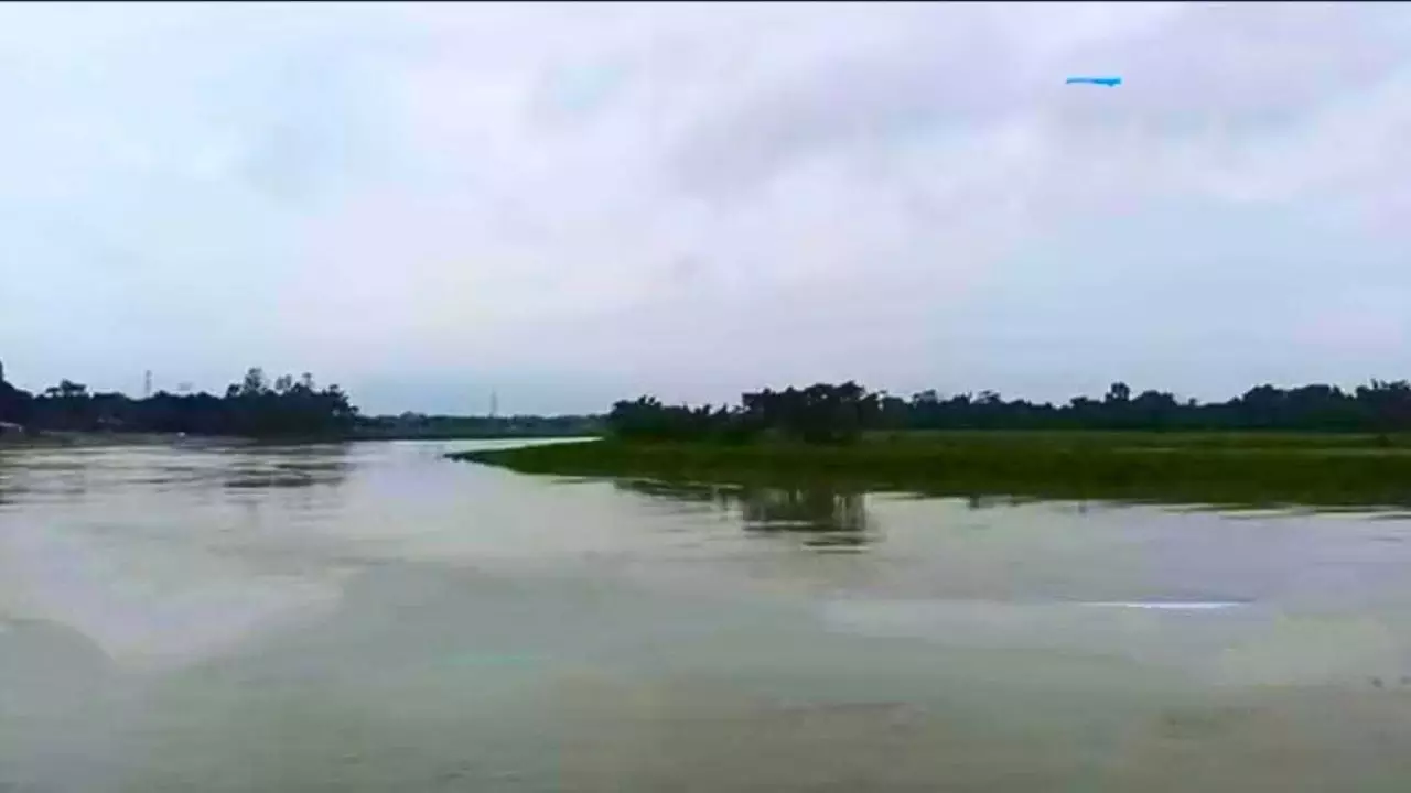 প্রধান উপদেষ্টা পদত্যাগ করবেন না: ফাইজ তাইয়েব আহমেদ