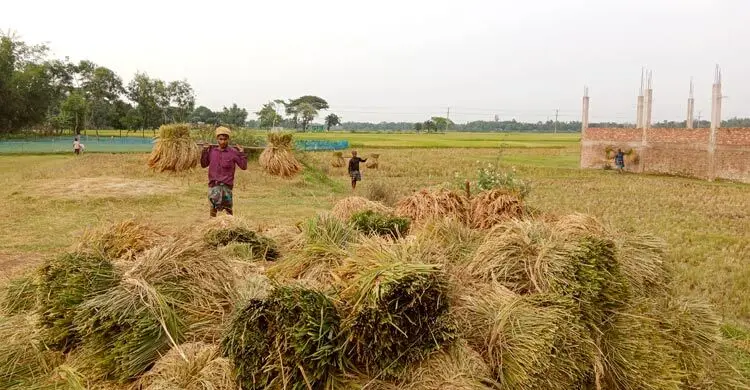 প্রধান উপদেষ্টা পদত্যাগ করবেন না: ফাইজ তাইয়েব আহমেদ