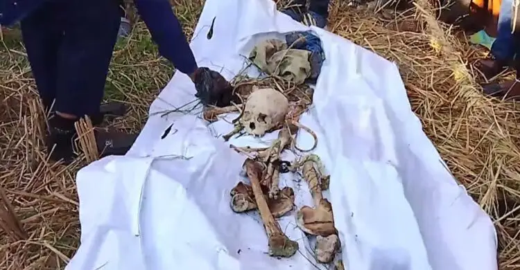 প্রধান উপদেষ্টা পদত্যাগ করবেন না: ফাইজ তাইয়েব আহমেদ