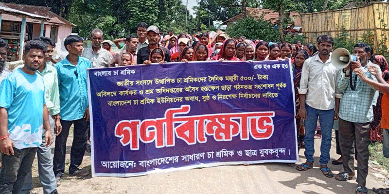 প্রধান উপদেষ্টা পদত্যাগ করবেন না: ফাইজ তাইয়েব আহমেদ