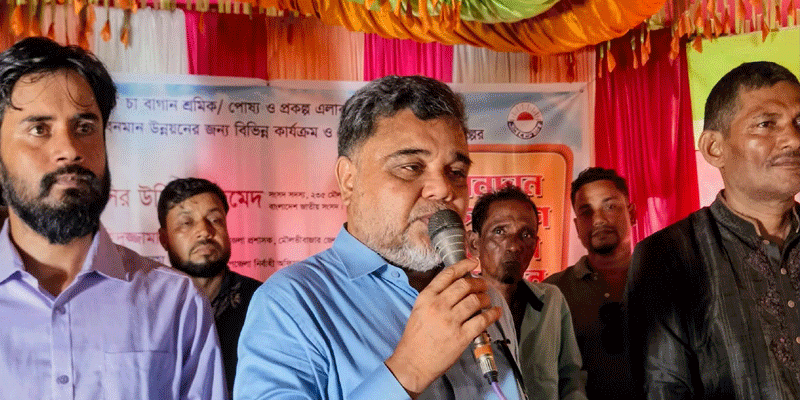 প্রধান উপদেষ্টা পদত্যাগ করবেন না: ফাইজ তাইয়েব আহমেদ