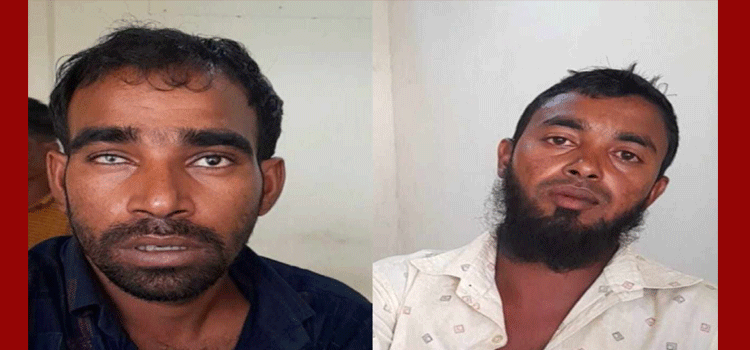 প্রধান উপদেষ্টা পদত্যাগ করবেন না: ফাইজ তাইয়েব আহমেদ