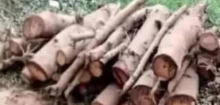 প্রধান উপদেষ্টা পদত্যাগ করবেন না: ফাইজ তাইয়েব আহমেদ