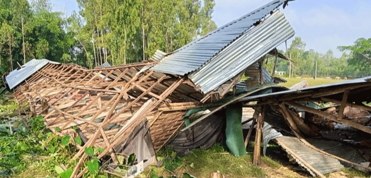 প্রধান উপদেষ্টা পদত্যাগ করবেন না: ফাইজ তাইয়েব আহমেদ
