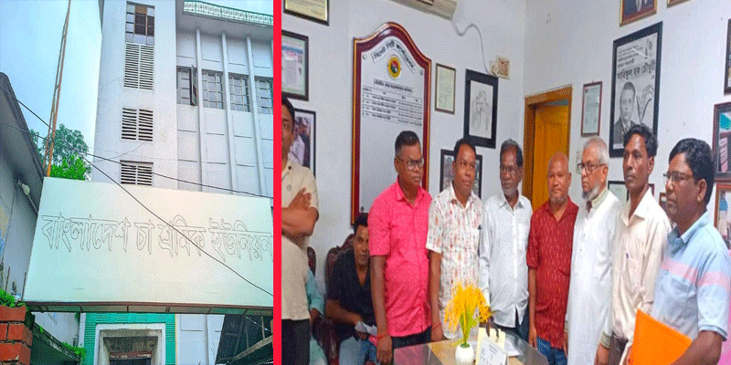 প্রধান উপদেষ্টা পদত্যাগ করবেন না: ফাইজ তাইয়েব আহমেদ
